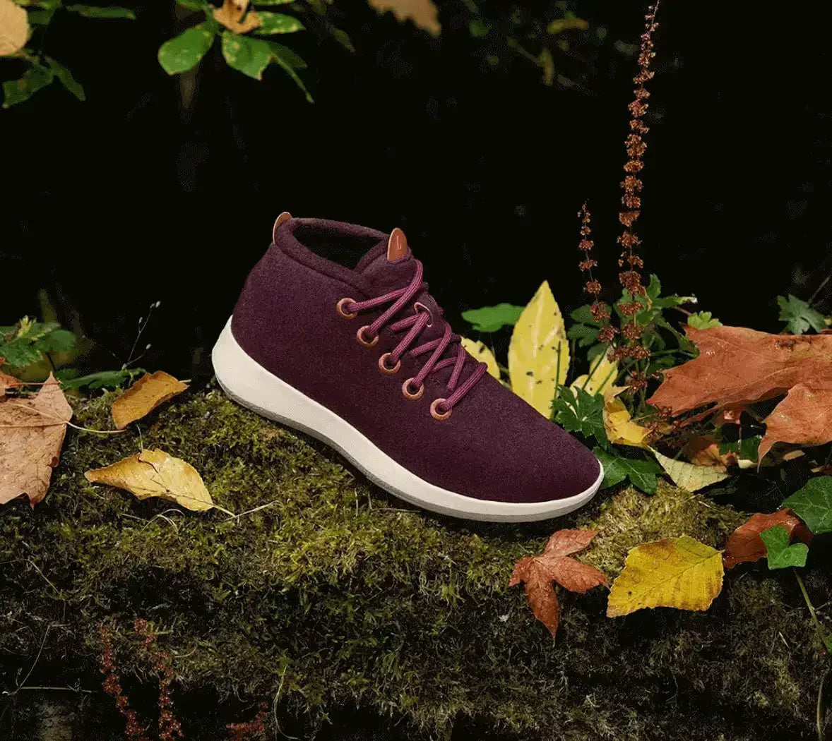 Allbirds