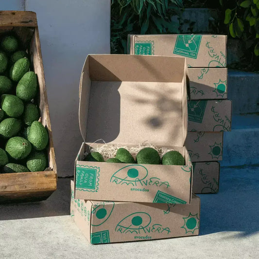 Primavera Avocados
