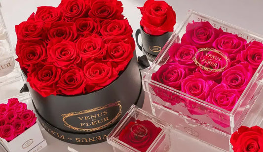 Venus et Fleur