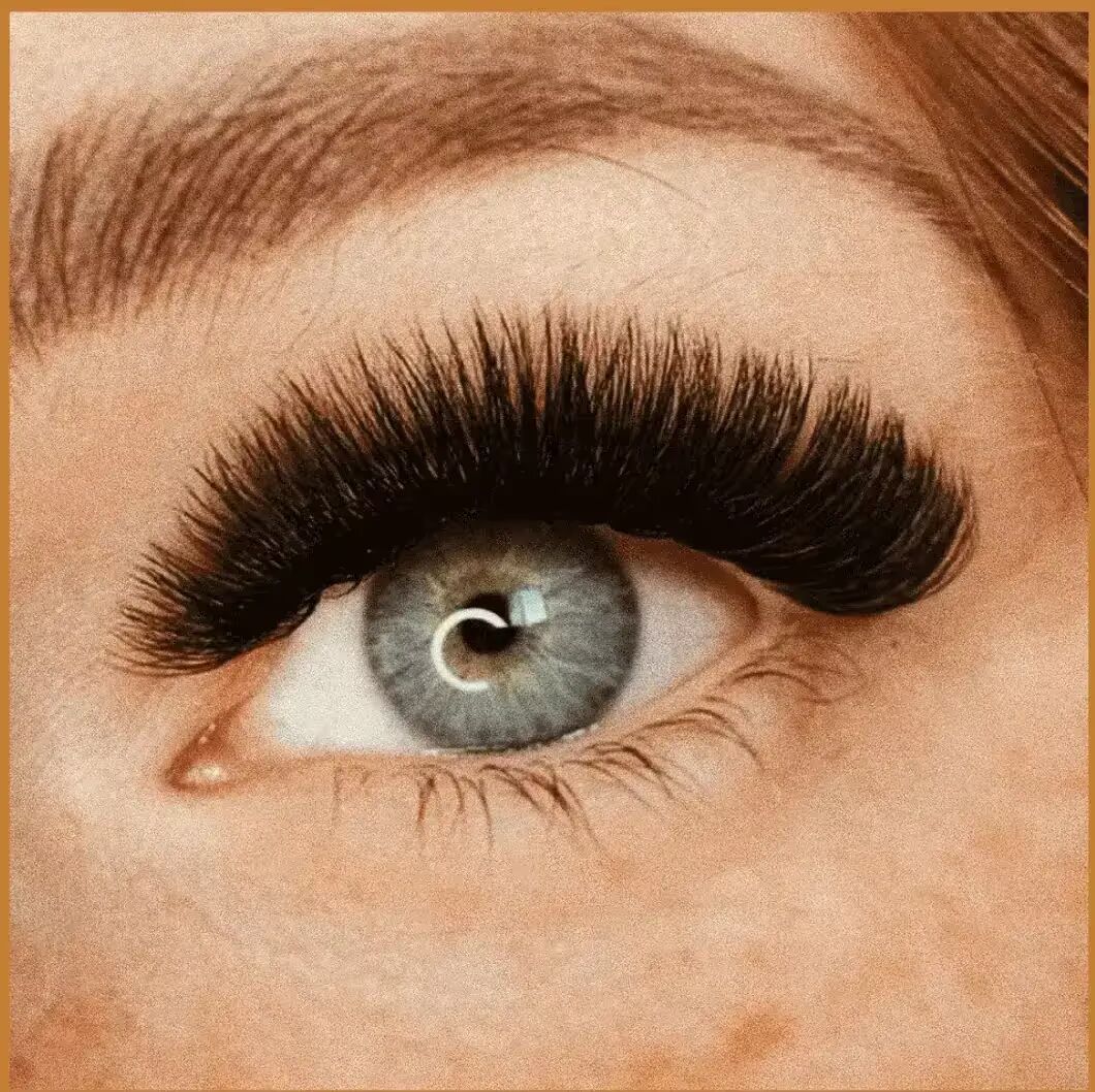 Lash