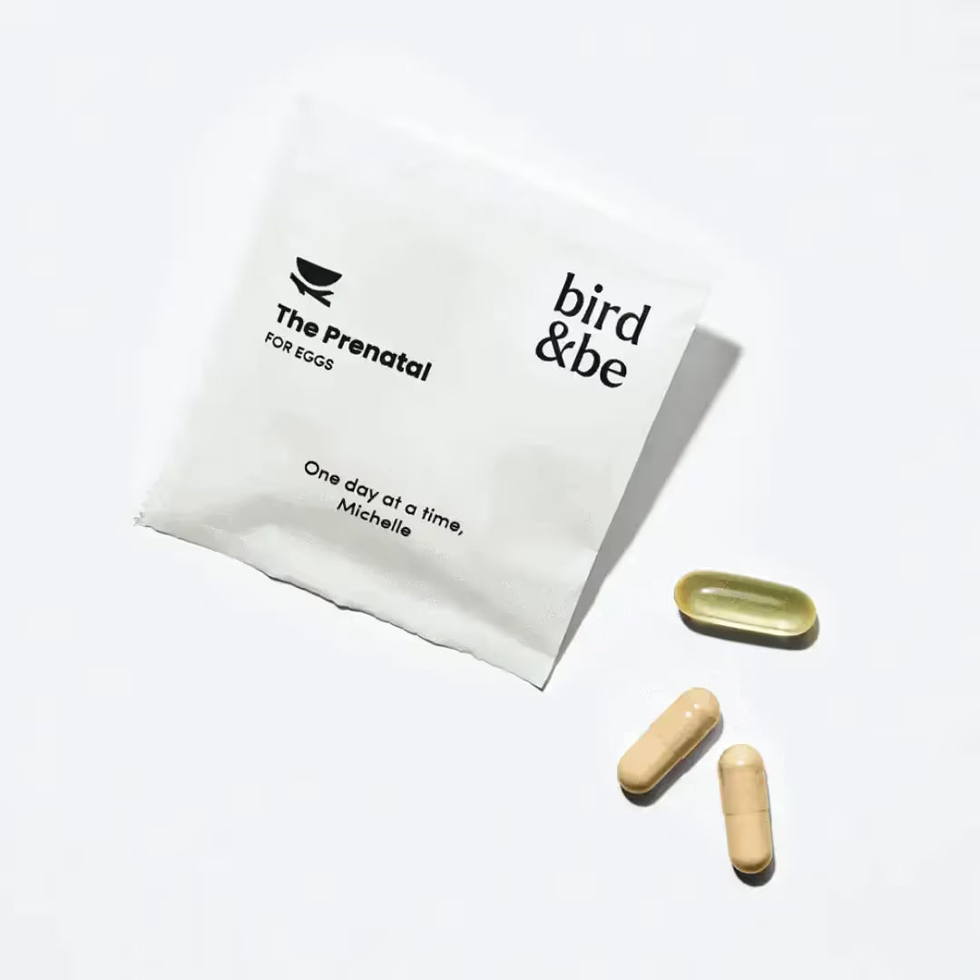 Bird & Be
