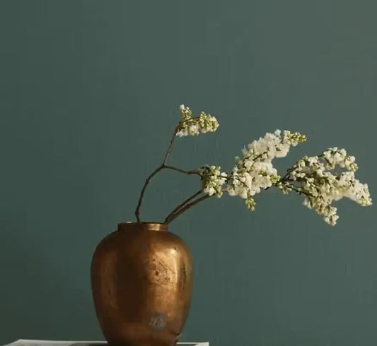 Clare Paint
