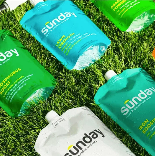 Sunday Lawn