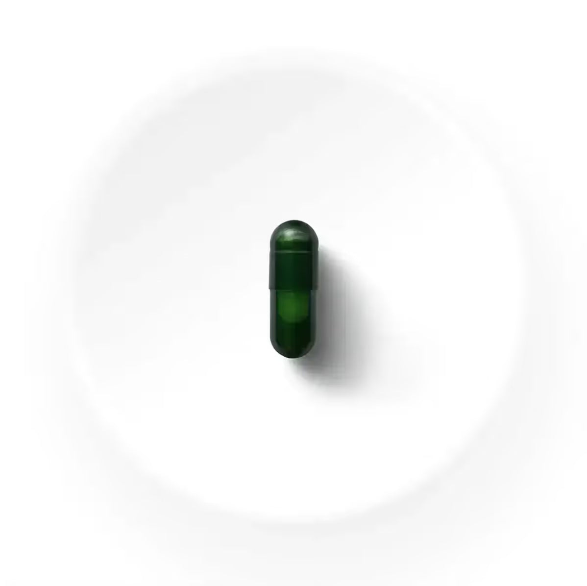 Seed