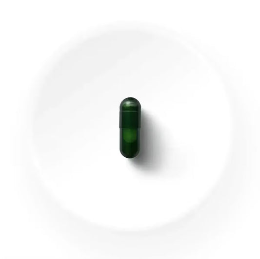 Seed
