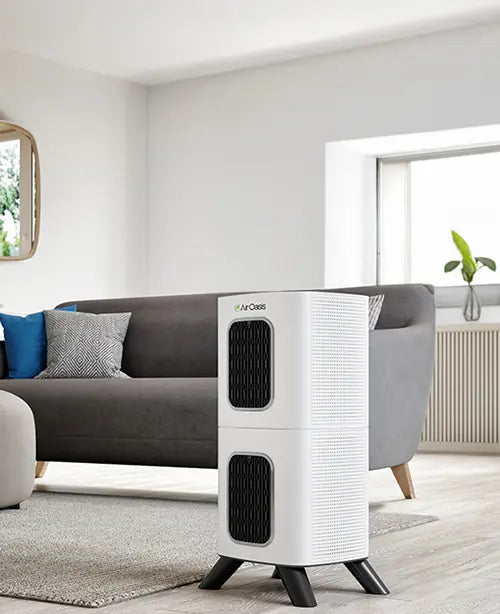 Air Oasis